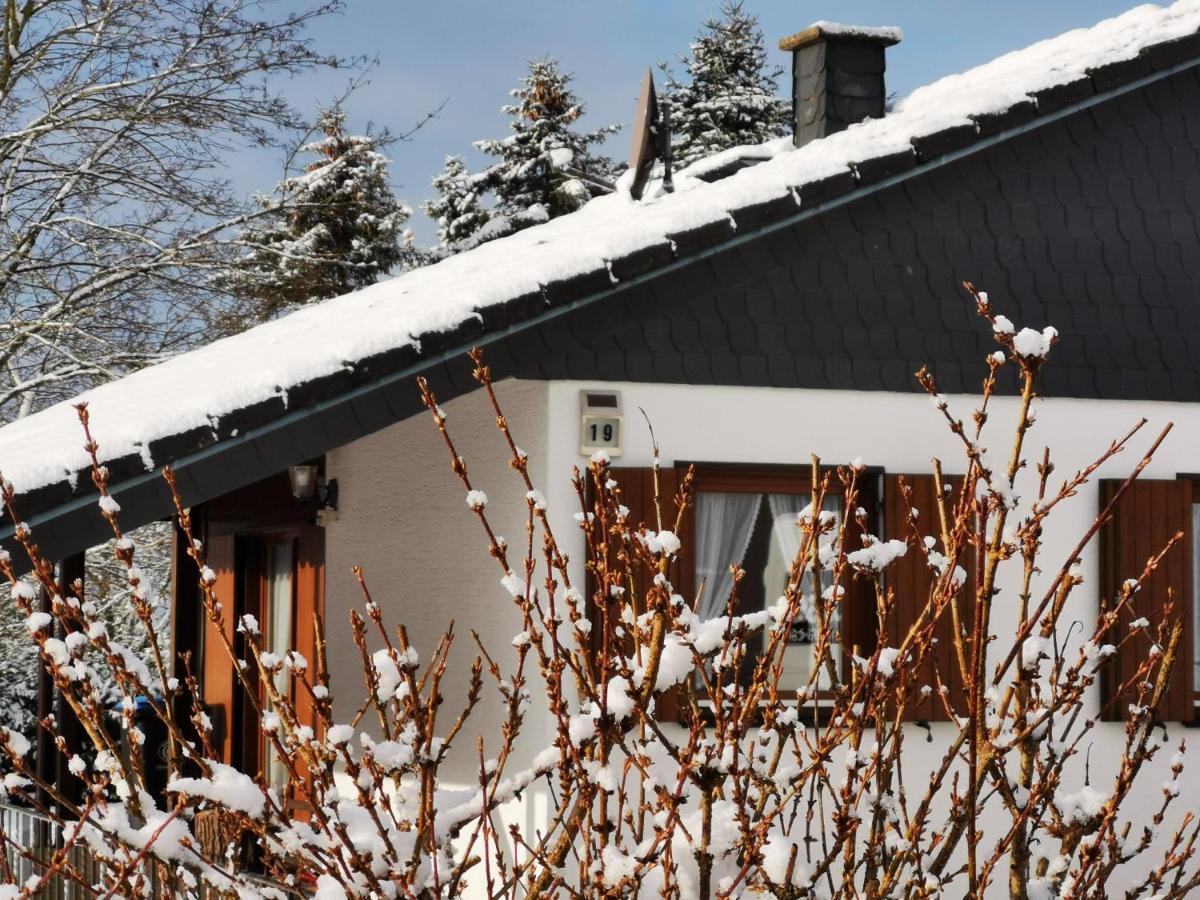 Bb19 Eifel-Ferienhaus Am Moseltal Mit Saunahaus Beuren  Dış mekan fotoğraf