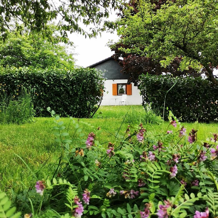 Bb19 Eifel-Ferienhaus Am Moseltal Mit Saunahaus Beuren  Dış mekan fotoğraf