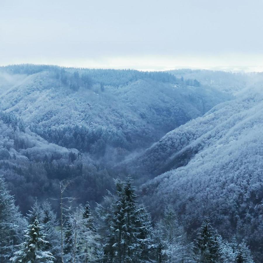 Bb19 Eifel-Ferienhaus Am Moseltal Mit Saunahaus Beuren  Dış mekan fotoğraf