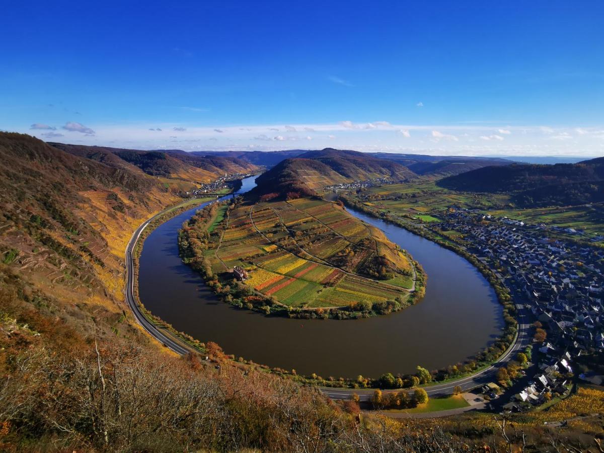 Bb19 Eifel-Ferienhaus Am Moseltal Mit Saunahaus Beuren  Dış mekan fotoğraf